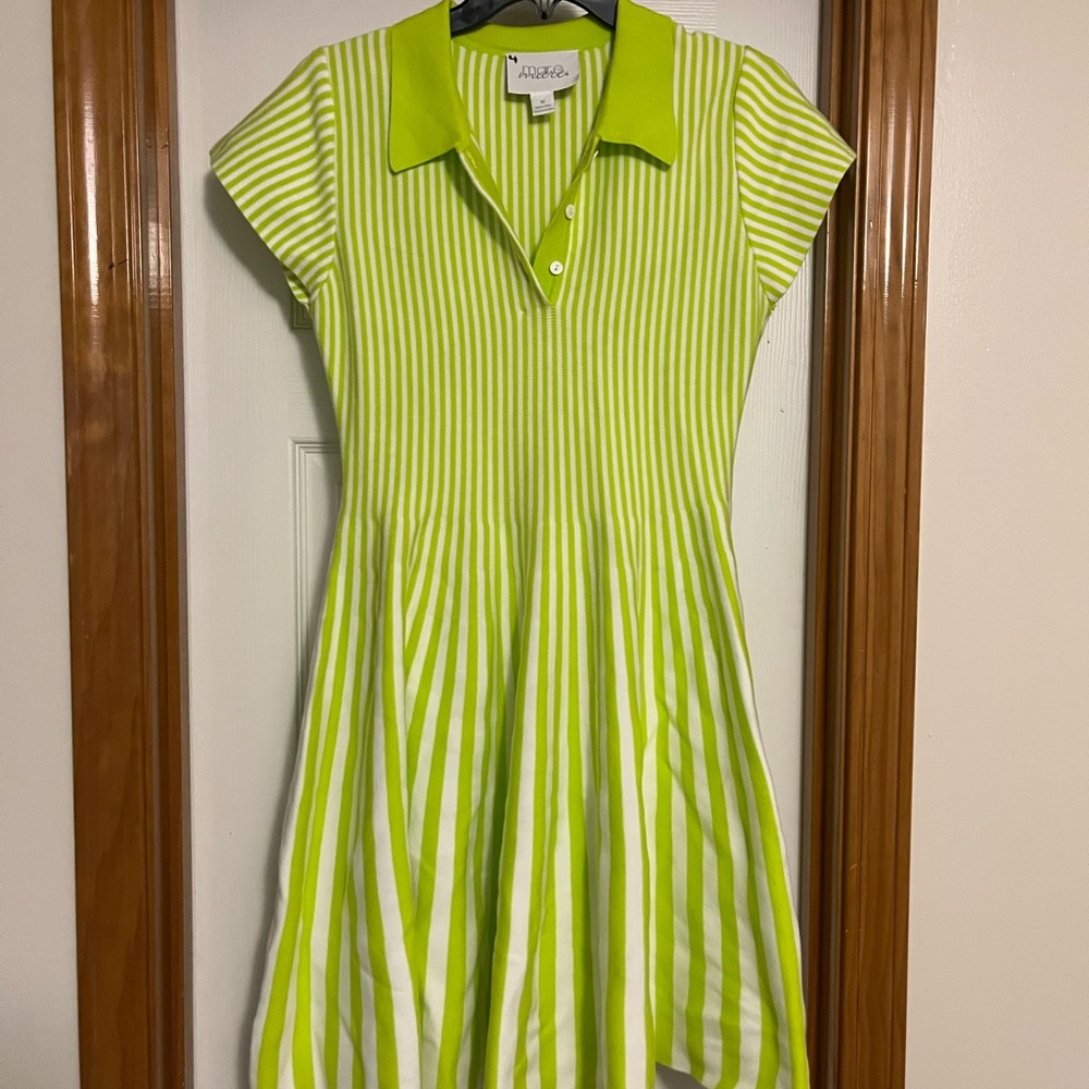 Anthropologie Green Striped Mini Dress